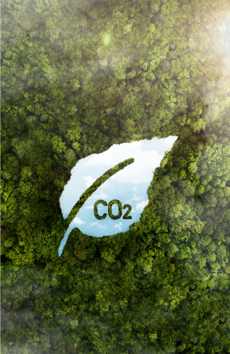Carbon <br>Footprint <br> Verification